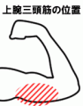 b_jowan_san.gif