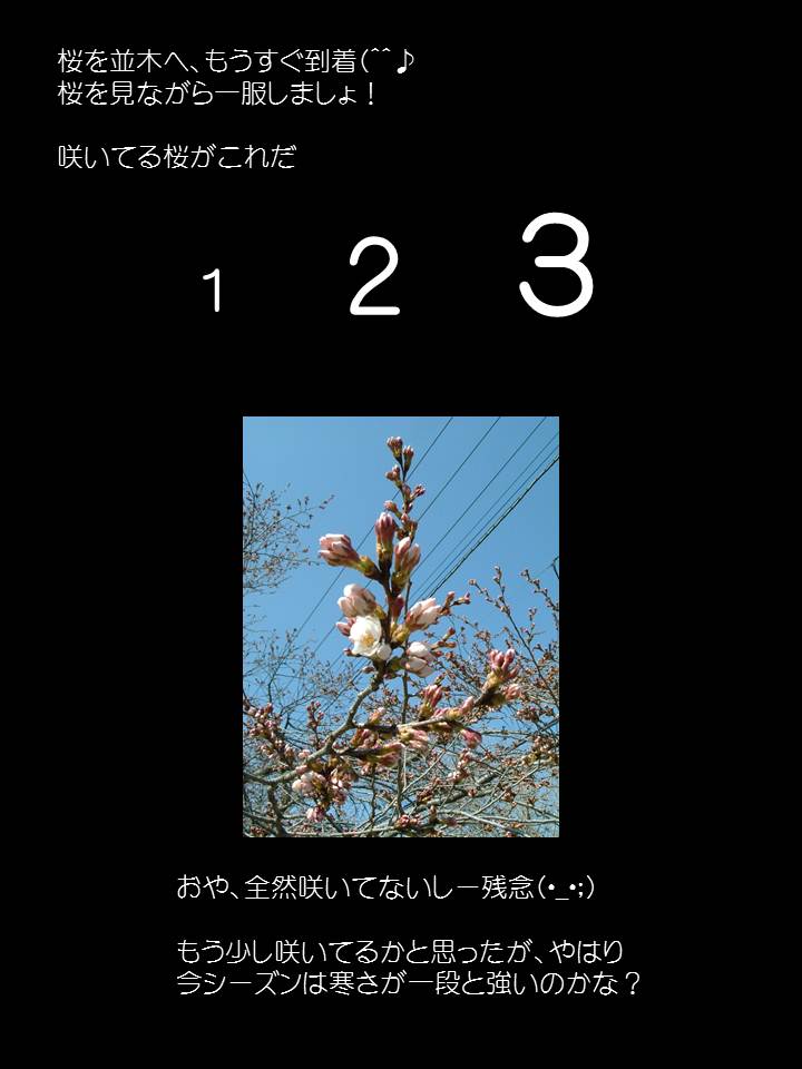 スライド4