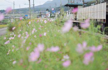 駅の光景_2011(11)