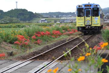 駅の光景_2011(12)