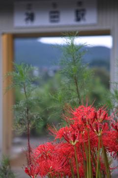 駅の光景_2011(13)