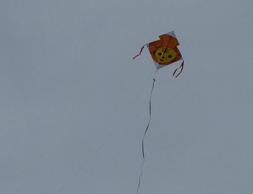 P1000953