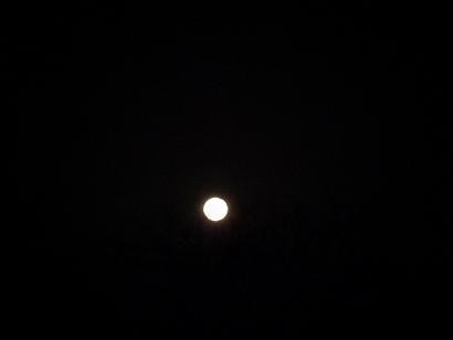 P1010460