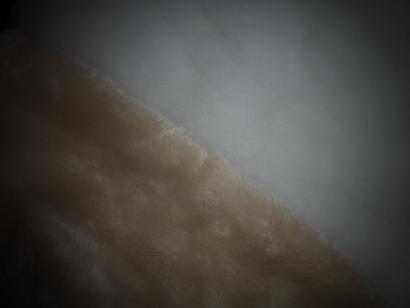 P1010462