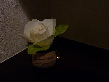 P1020310
