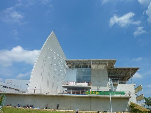P1020957