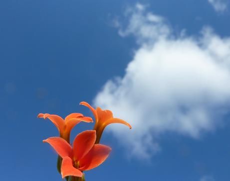 P1050487