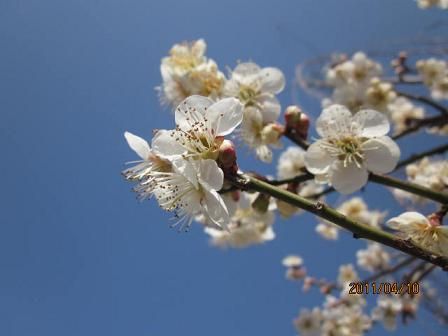 IMG_59733