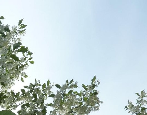 P10509055