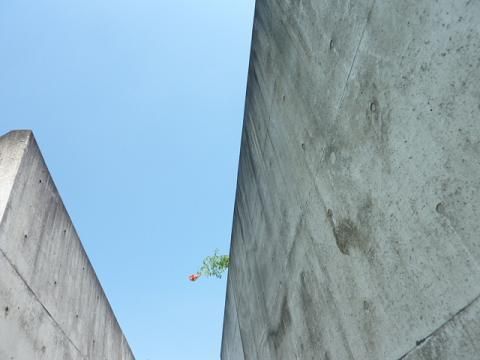 P10602155