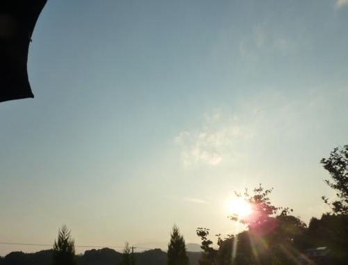 P10602522