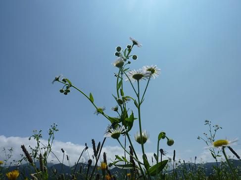 P1060353