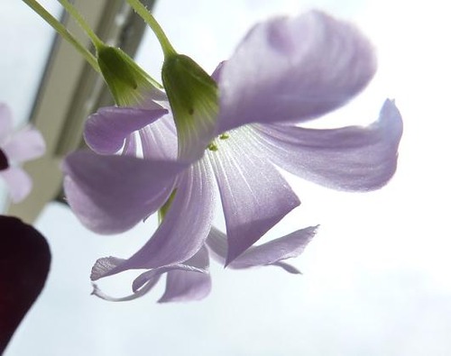 P10700933
