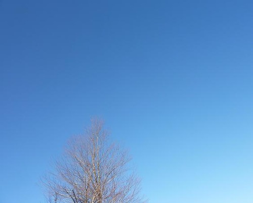 P10800721