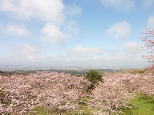 P10805355
