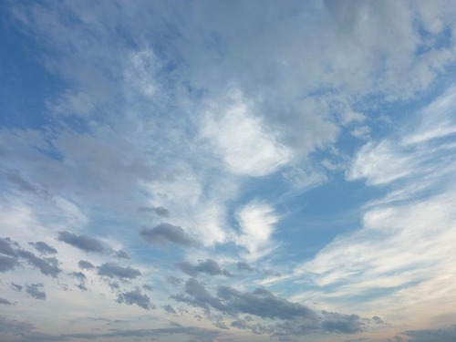 P10901477