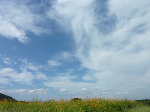 P10908301