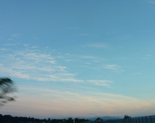 P10909066