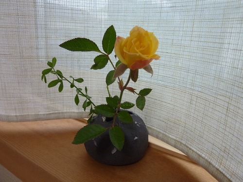 P1100399999