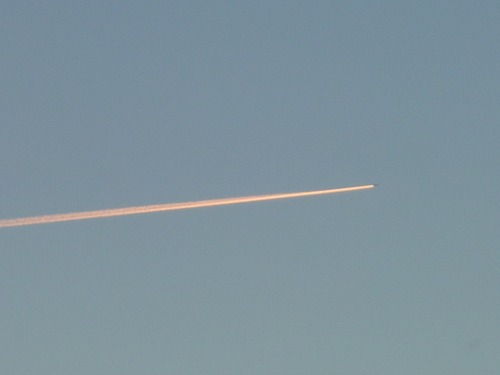 P11003855
