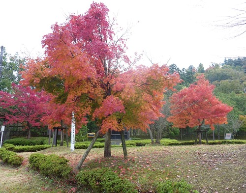 P11005888