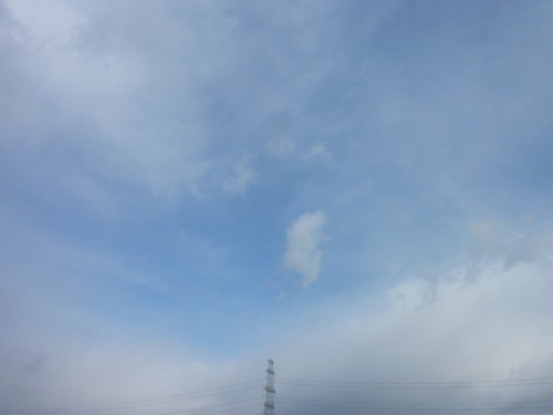 P11005931
