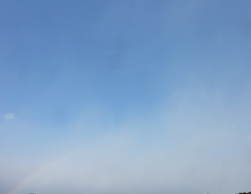 P11005952