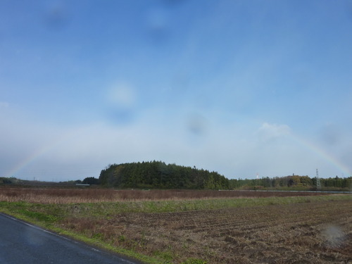 P1100601