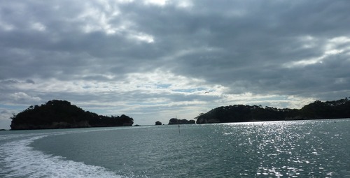 P11006188
