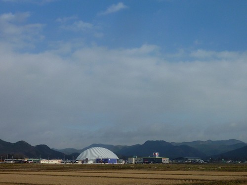 P11007491