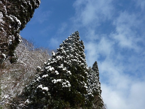 P11007671