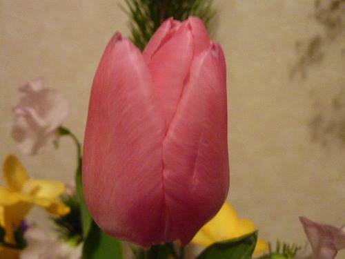 P11101401