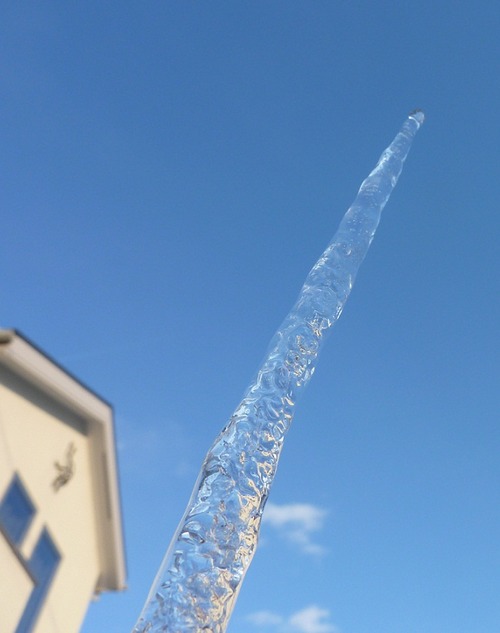 P11102421