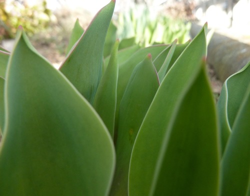 P11107671