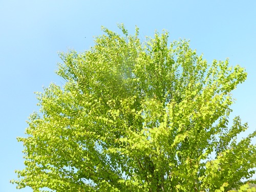 P11301591