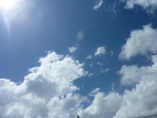 P1090590