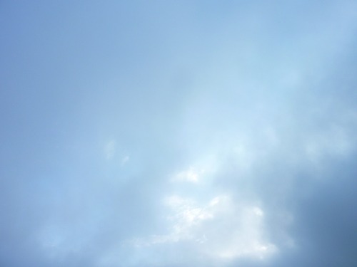 P11307391
