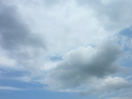 P11307561
