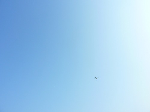 P11308141