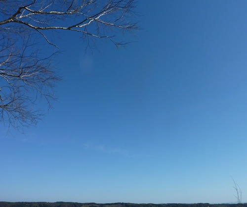 P11509141