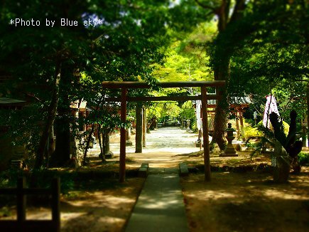 桜井神社2