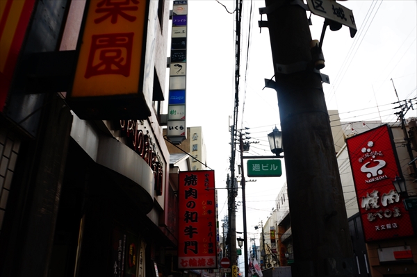 DSC00282.jpg