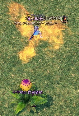 mabinogi_2013_02_06_001.jpg