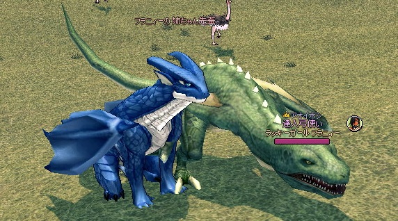 mabinogi_2013_02_06_009.jpg