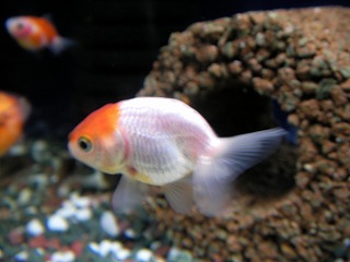 2007.04.22-21.38.08.jpg
