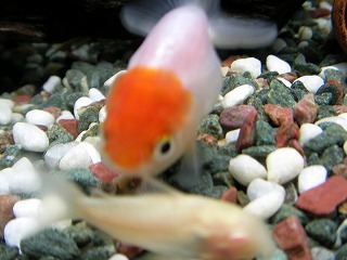 2007.04.22-21.38.55.jpg