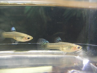 2007.04.25-17.25.54.jpg