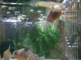 2007.08.29-21.08.28.jpg