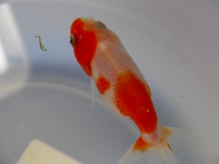2007.09.25-14.22.20.jpg