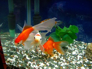 2007.11.15-23.46.34.jpg